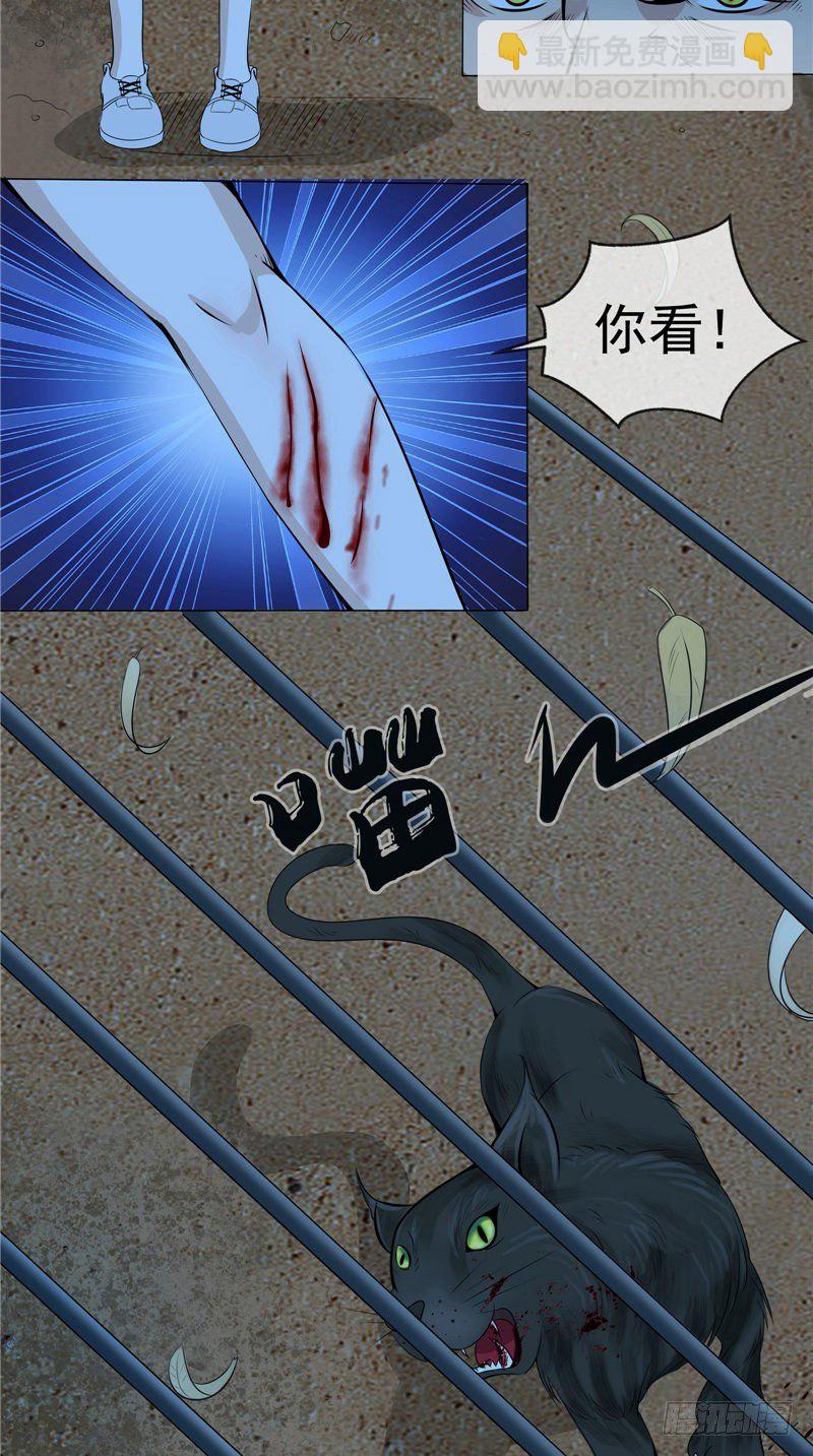 第14话 野猫-第14话