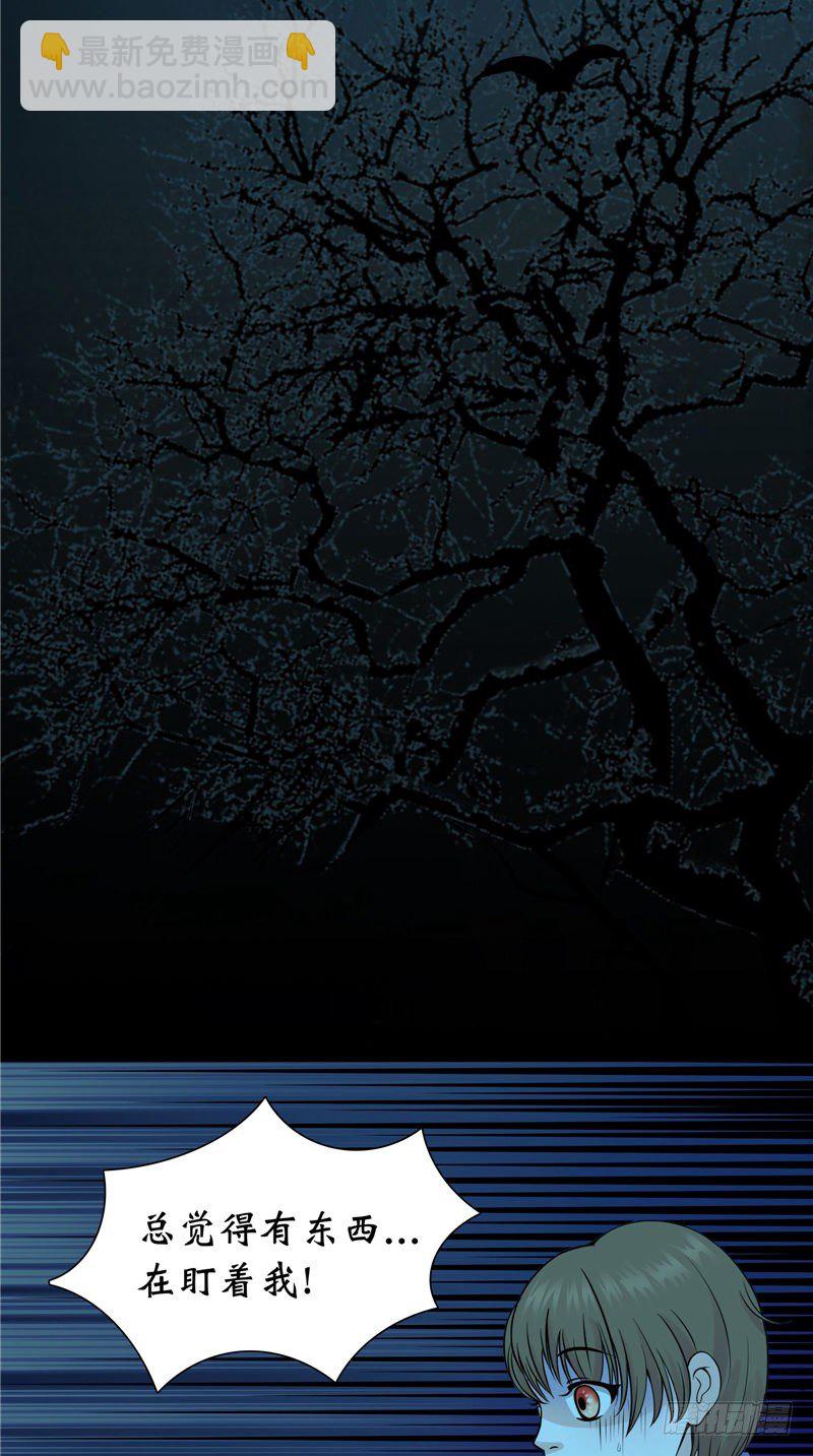 第14话 野猫-第14话