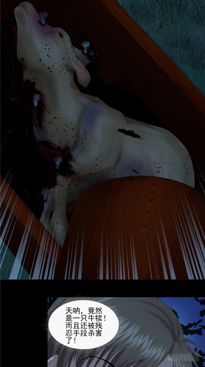 第30话 棺材里的牛犊-第30话