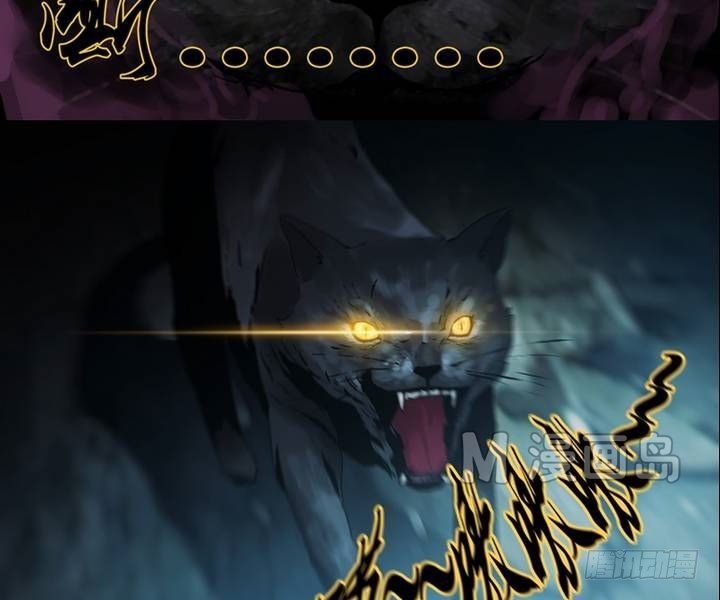 第2话 这里闹猫婆？（二）-第2话