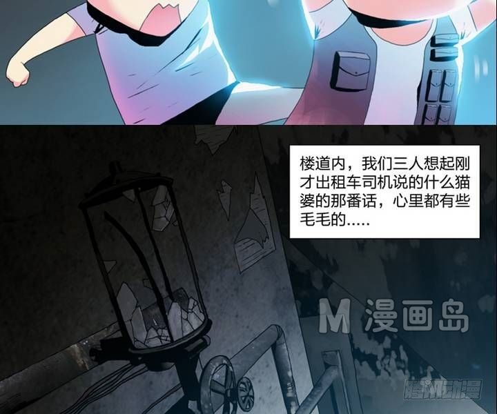 第2话 这里闹猫婆？（二）-第2话