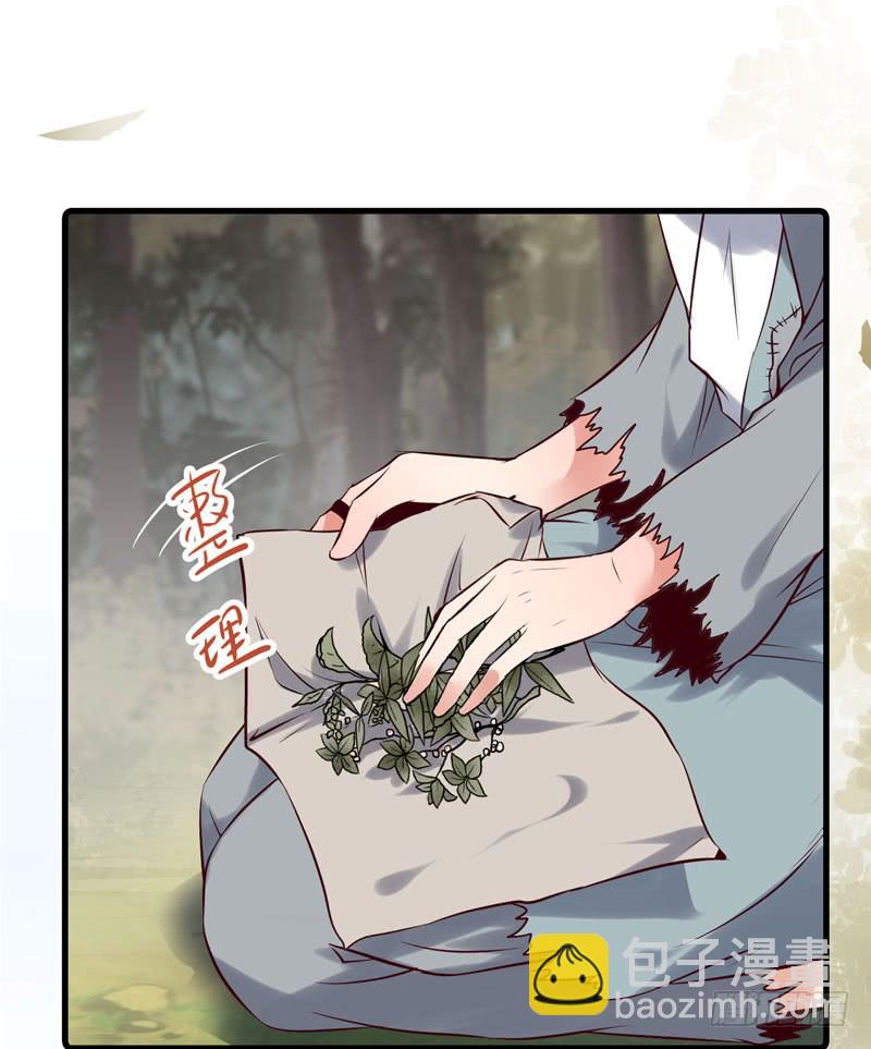 鬼醫鳳九 - 衝着老白來 - 5