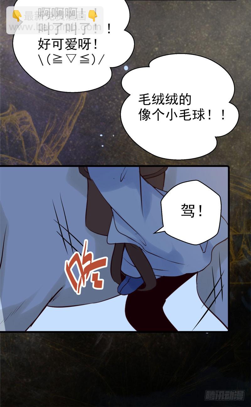 鬼醫鳳九 - 引蛇出洞 - 3