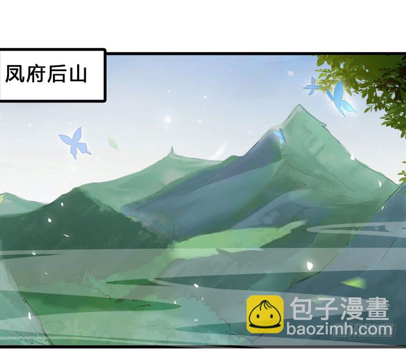 鬼醫鳳九 - 天地誓言 - 2