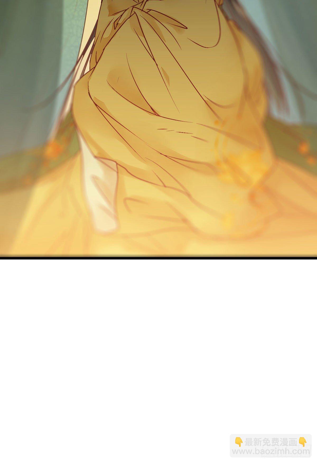 鬼醫鳳九 - 帶着崽子上路了(2/2) - 3