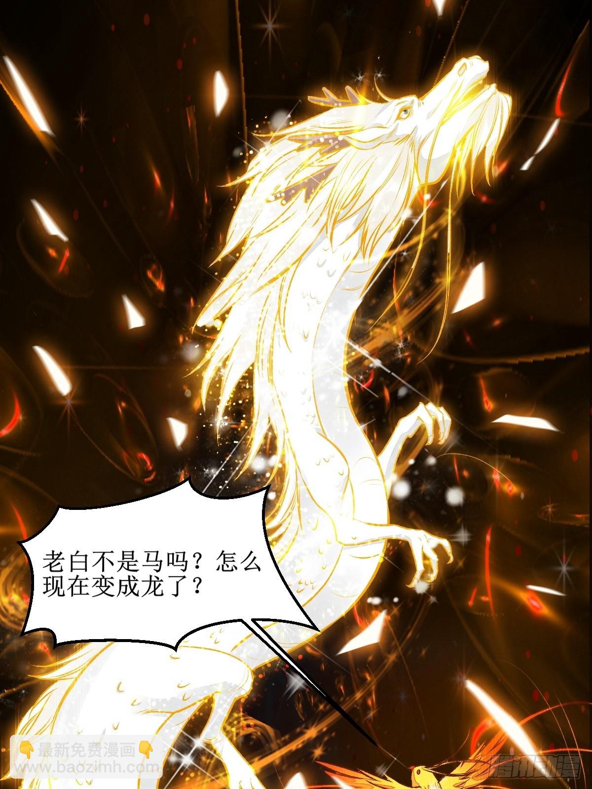 鬼醫鳳九 - 老白進階！ - 6