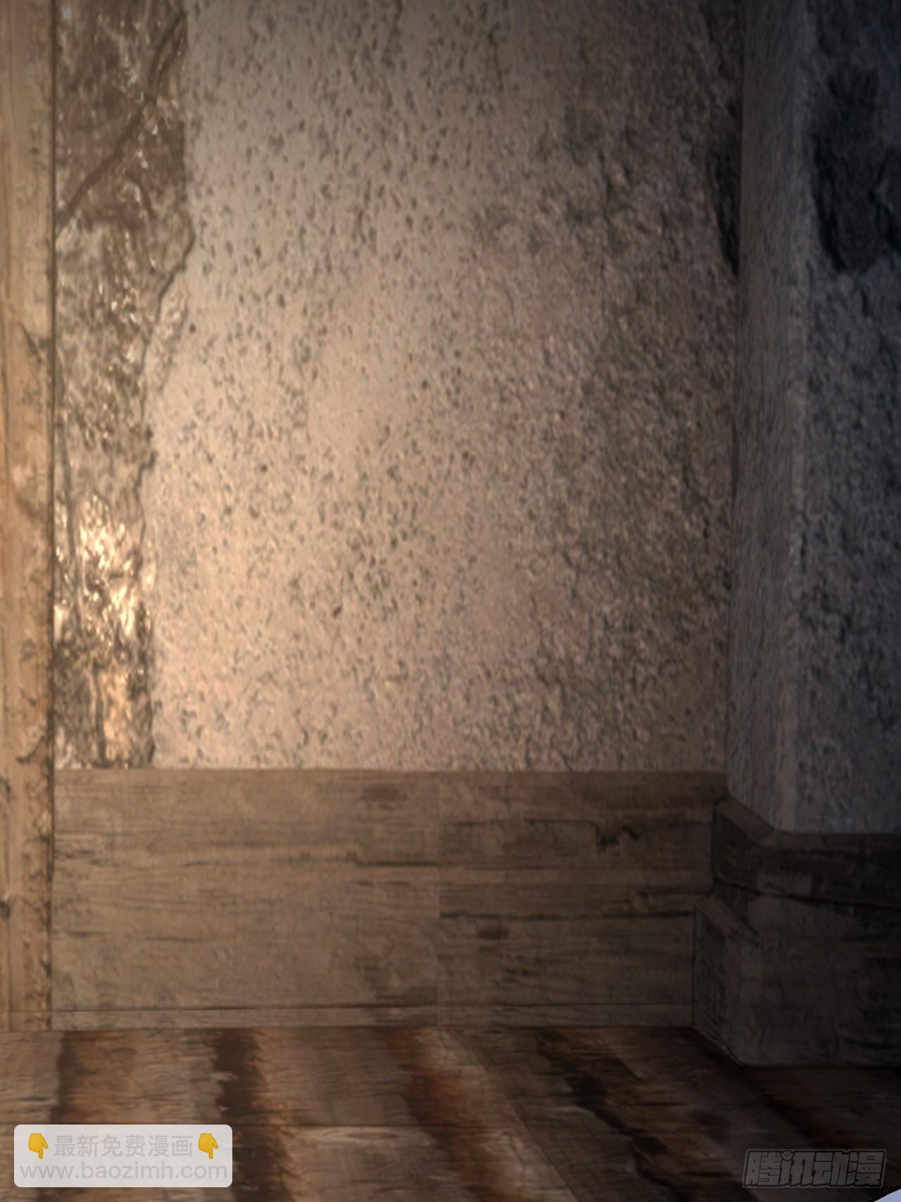 第115话 雪原的神秘人(1/2)-第116话