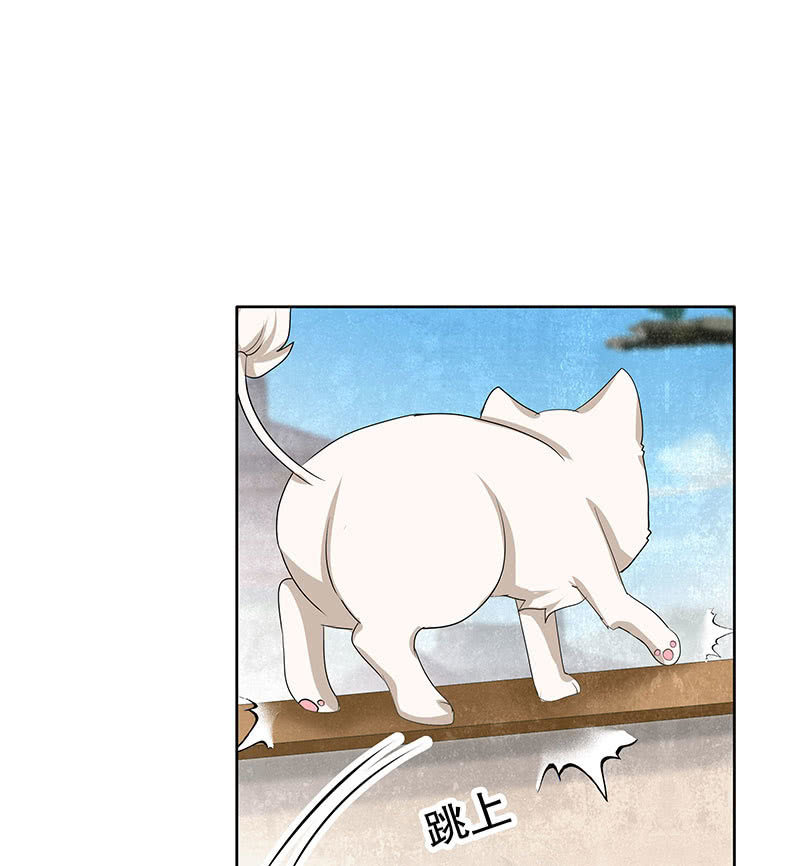 第103话 师父和门主(1/4)-第104话