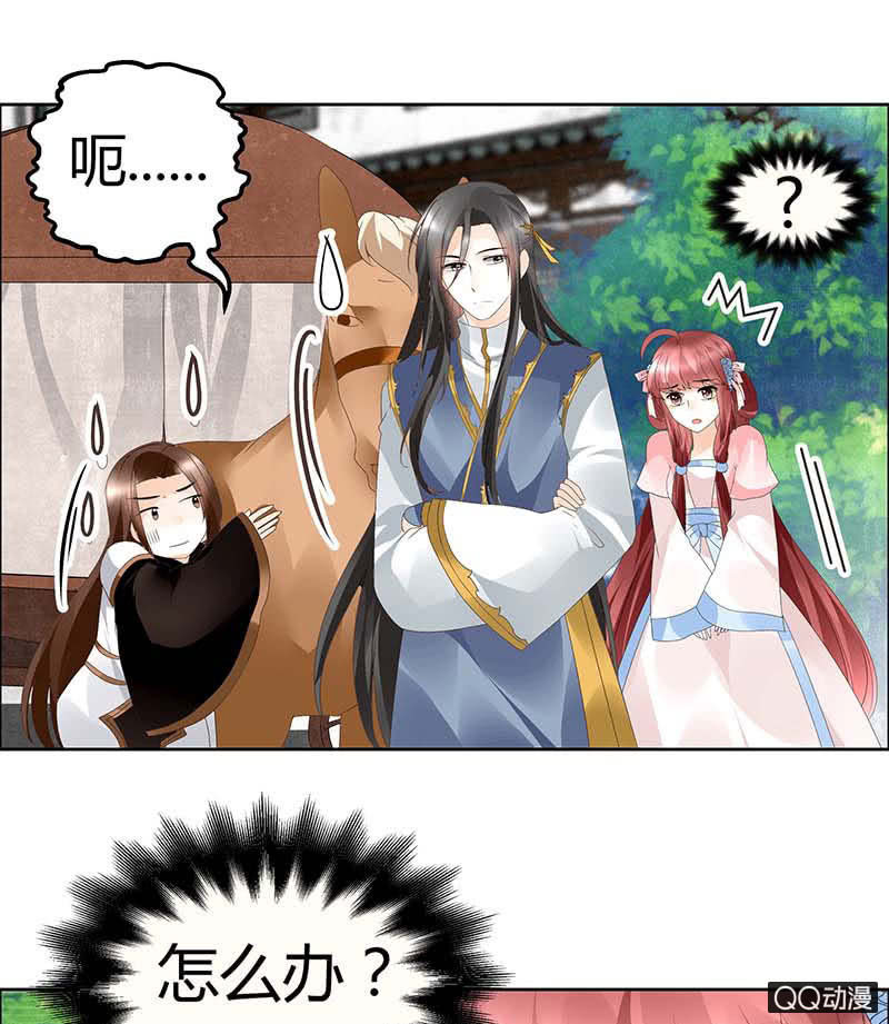 第37话 我天生就是做书童的料-第38话