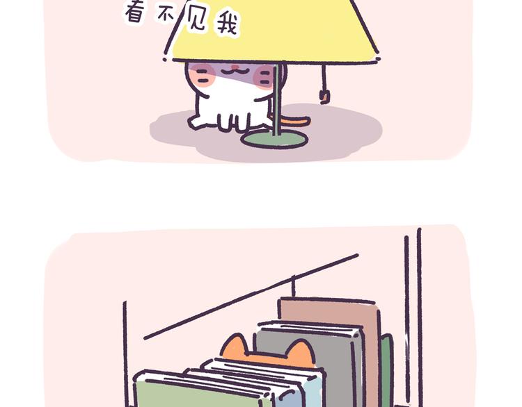 第2话 猫咪历险记-第2话