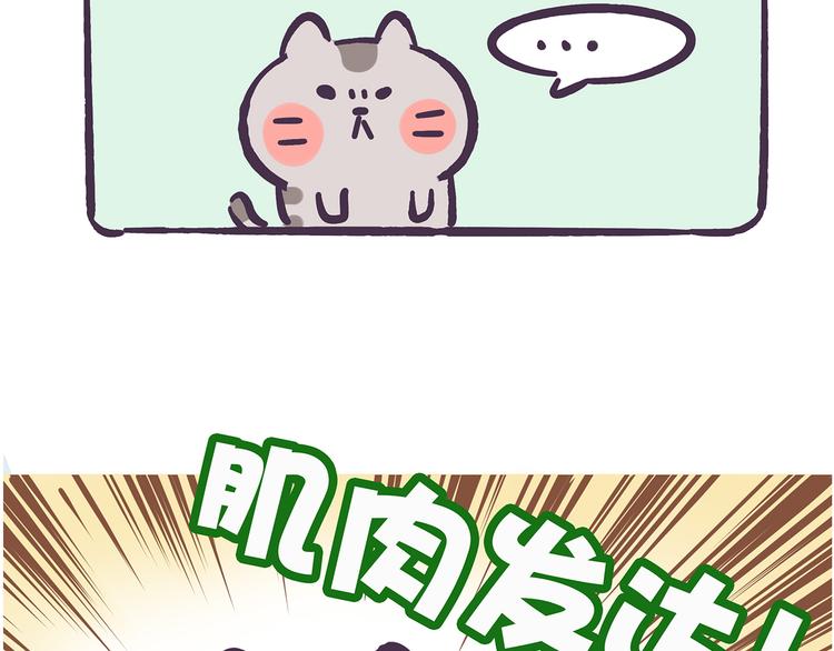 第36话 喵不可貌相-第36话