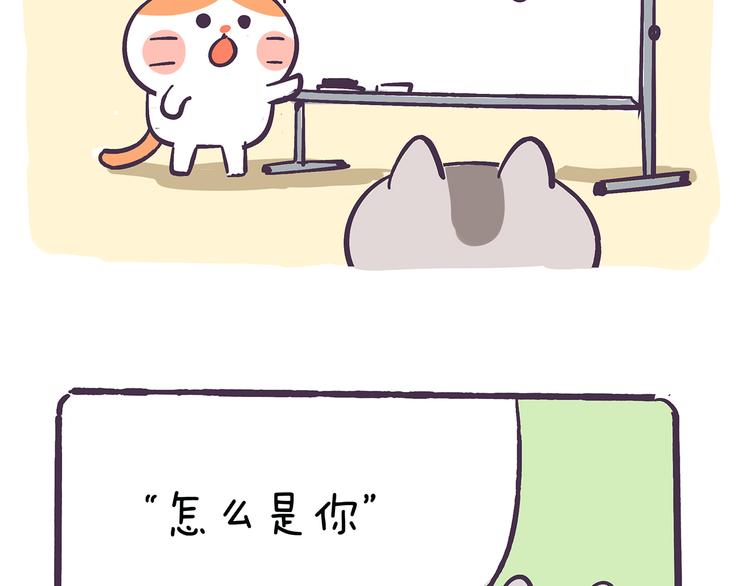 第36话 喵不可貌相-第36话