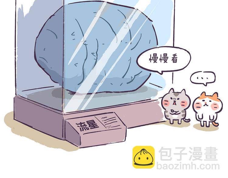 第40话 陪你去看流星雨-第40话