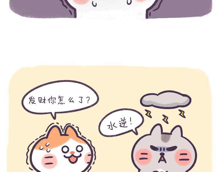 第52话 转发此条锦鲤有好运-第52话