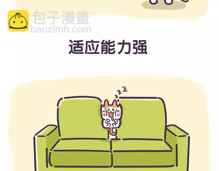 滚开，我要先萌一会儿！ - 第68话 猪是一种什么样的生物 - 2