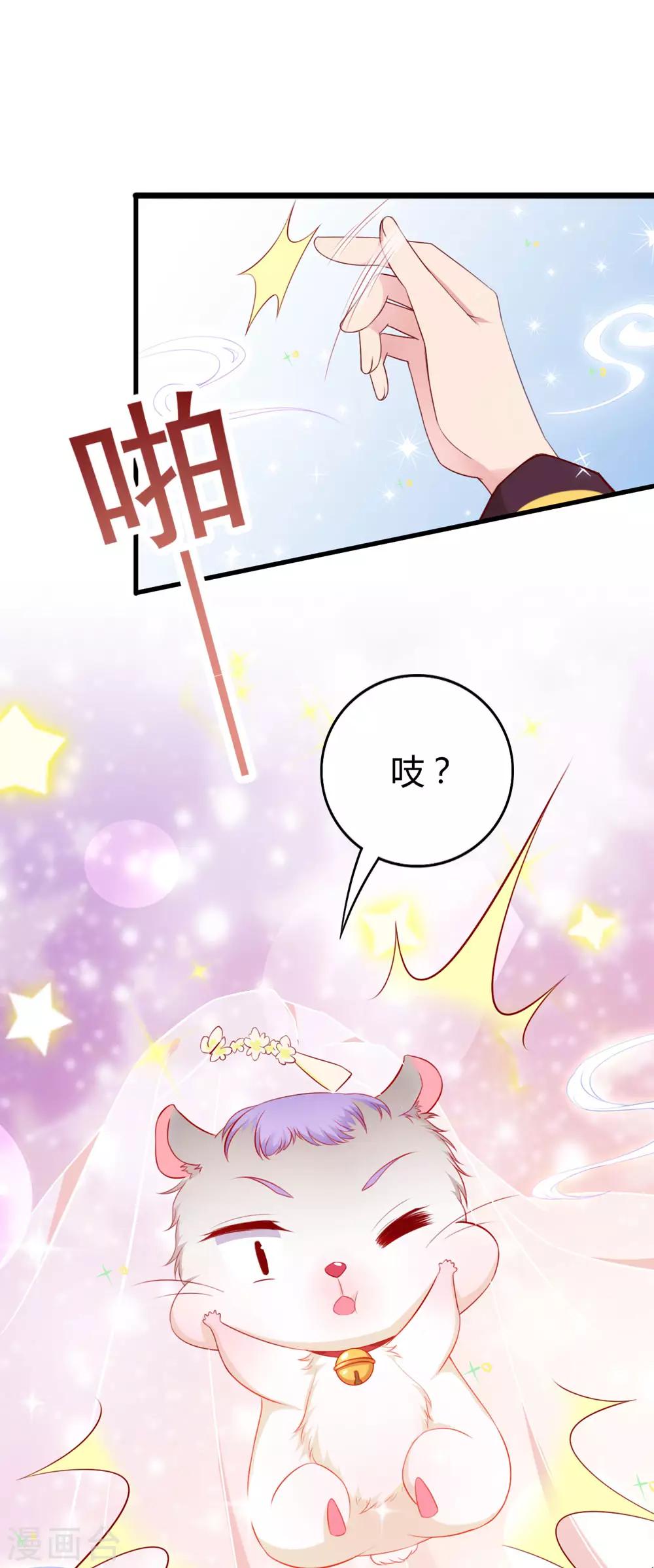 第2话 吱，我变成了仓鼠？！-第2话