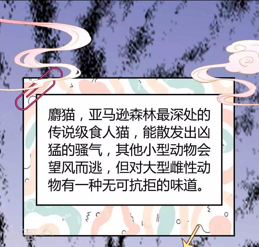 第10话 谁的裤腰带-第12话