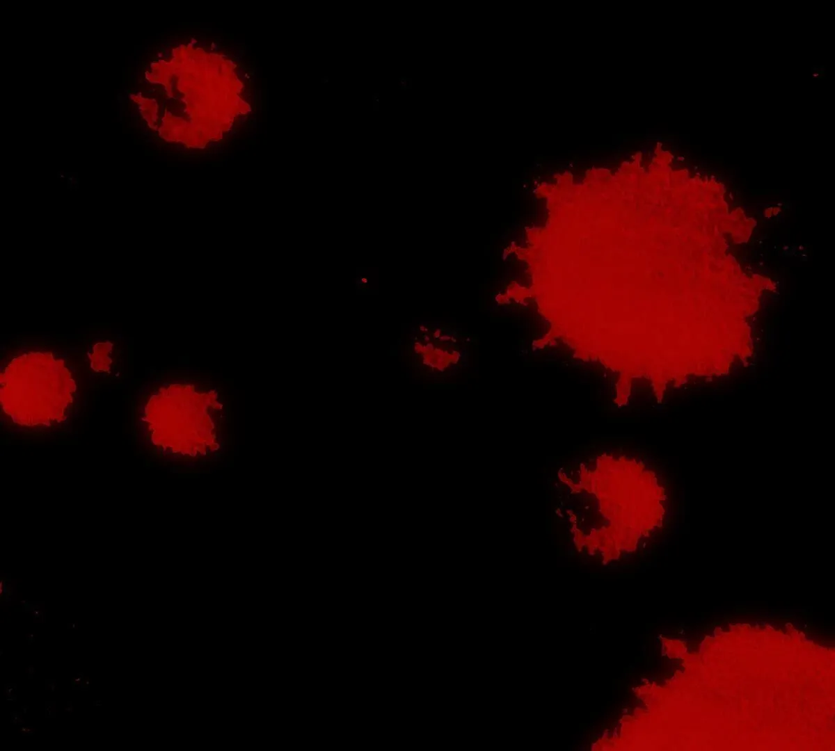 第117话：就像你无法违抗我(1/2)-第118话