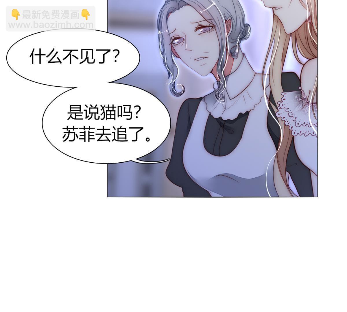 第41话：您不是对猫过敏吗？(1/2)-第42话