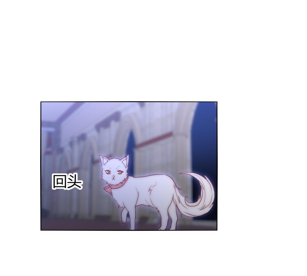 第41话：您不是对猫过敏吗？(1/2)-第42话