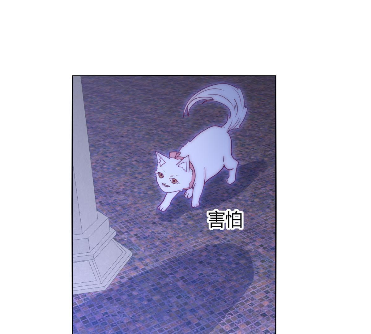 第41话：您不是对猫过敏吗？(1/2)-第42话