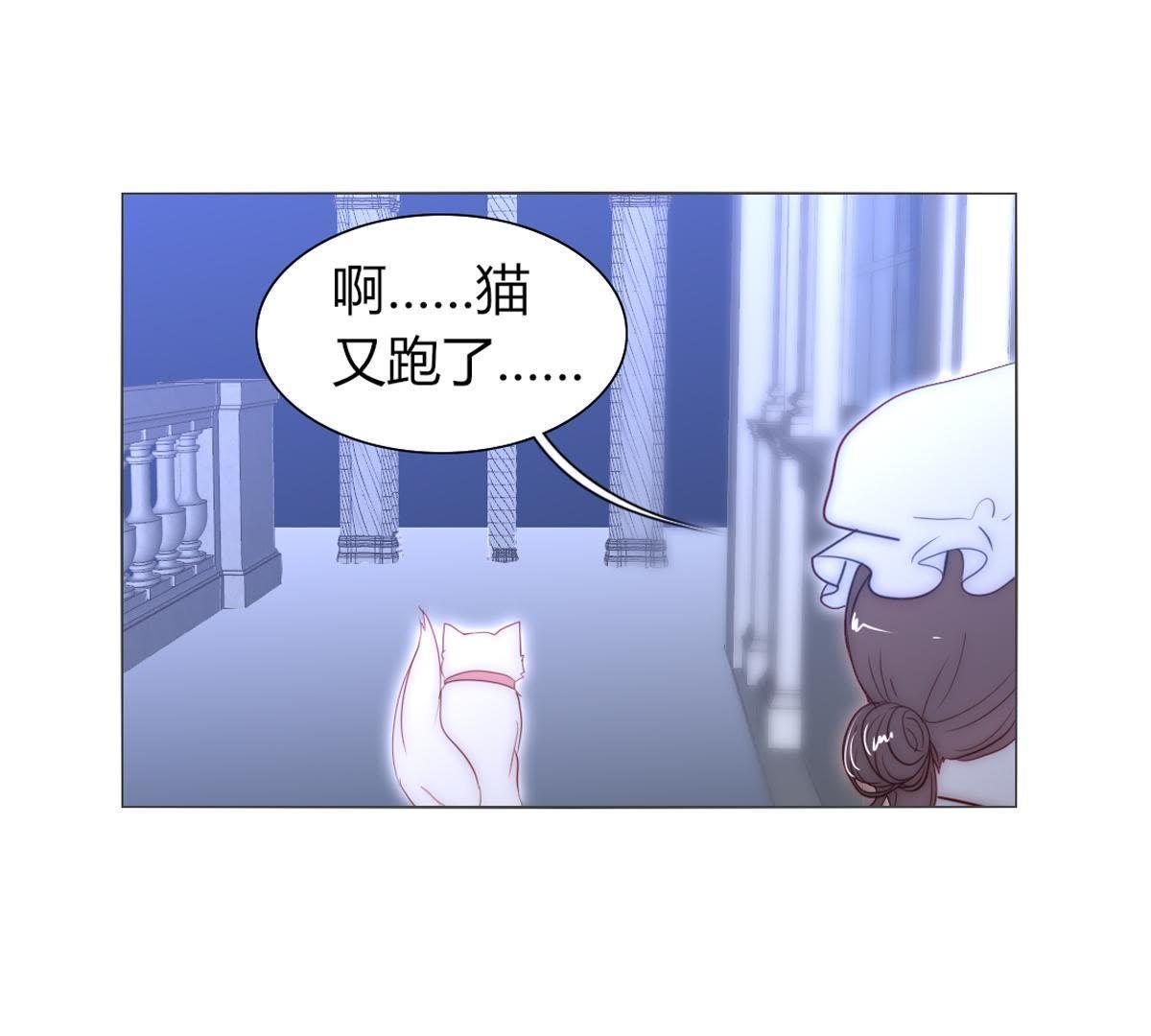 第41话：您不是对猫过敏吗？(1/2)-第42话