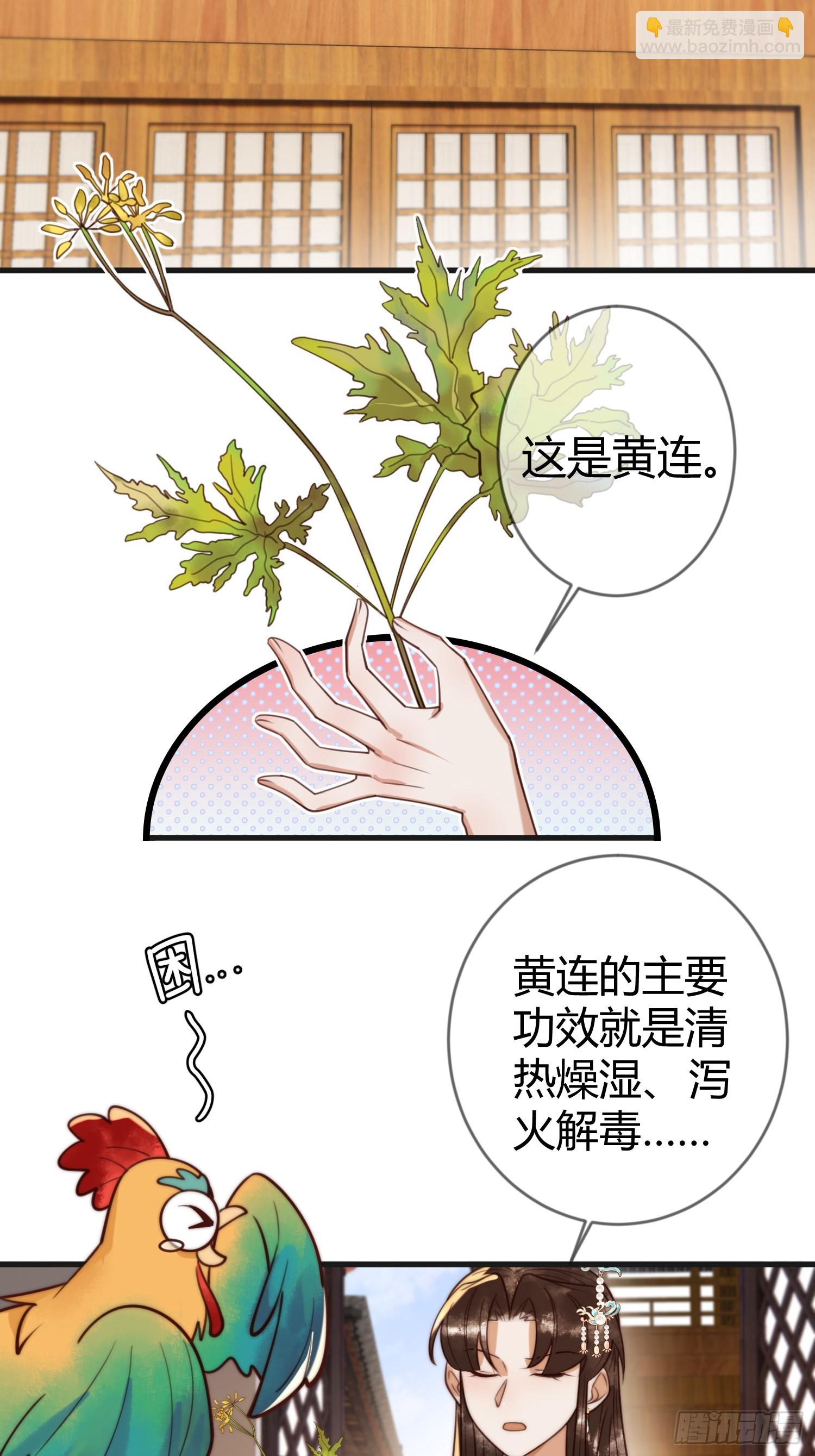 国医狂妃 - 第86话 宫城有病 - 6