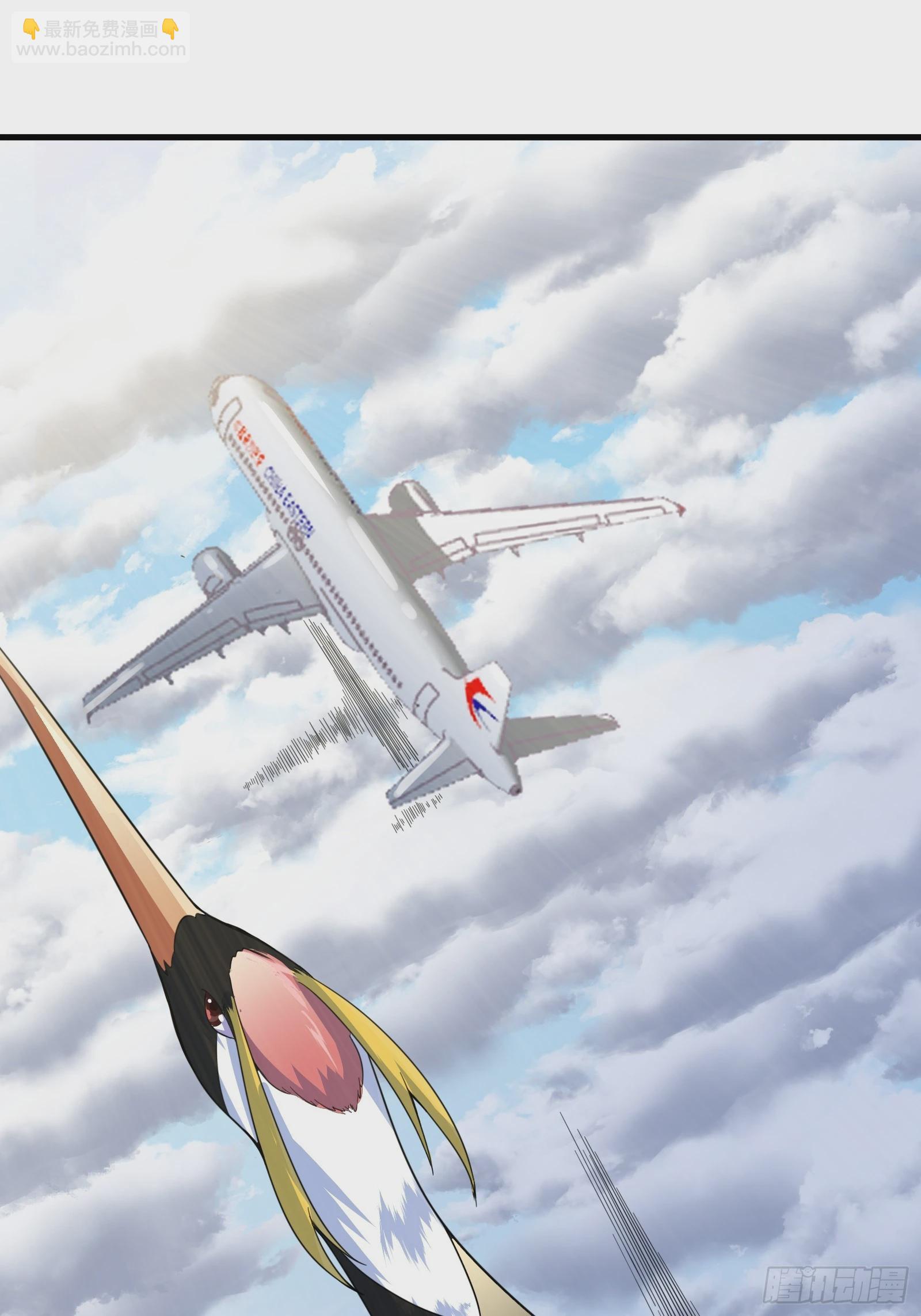 005 好大的鸟啊！-第6话