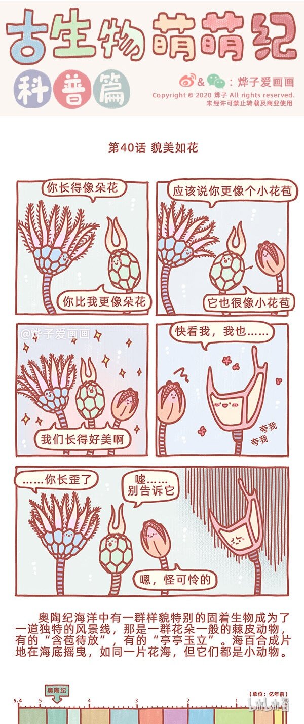 第40话 貌美如花-第46话