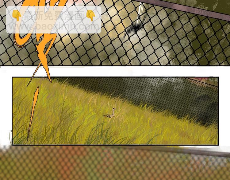 第29话 关于夏天最后的回忆(1/3)-第32话