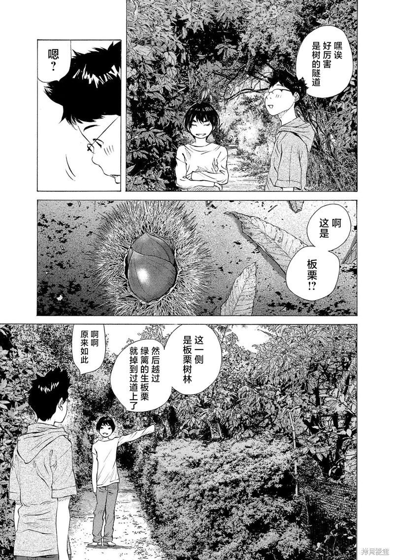 海島與少女還有貓 - 第66話 - 2