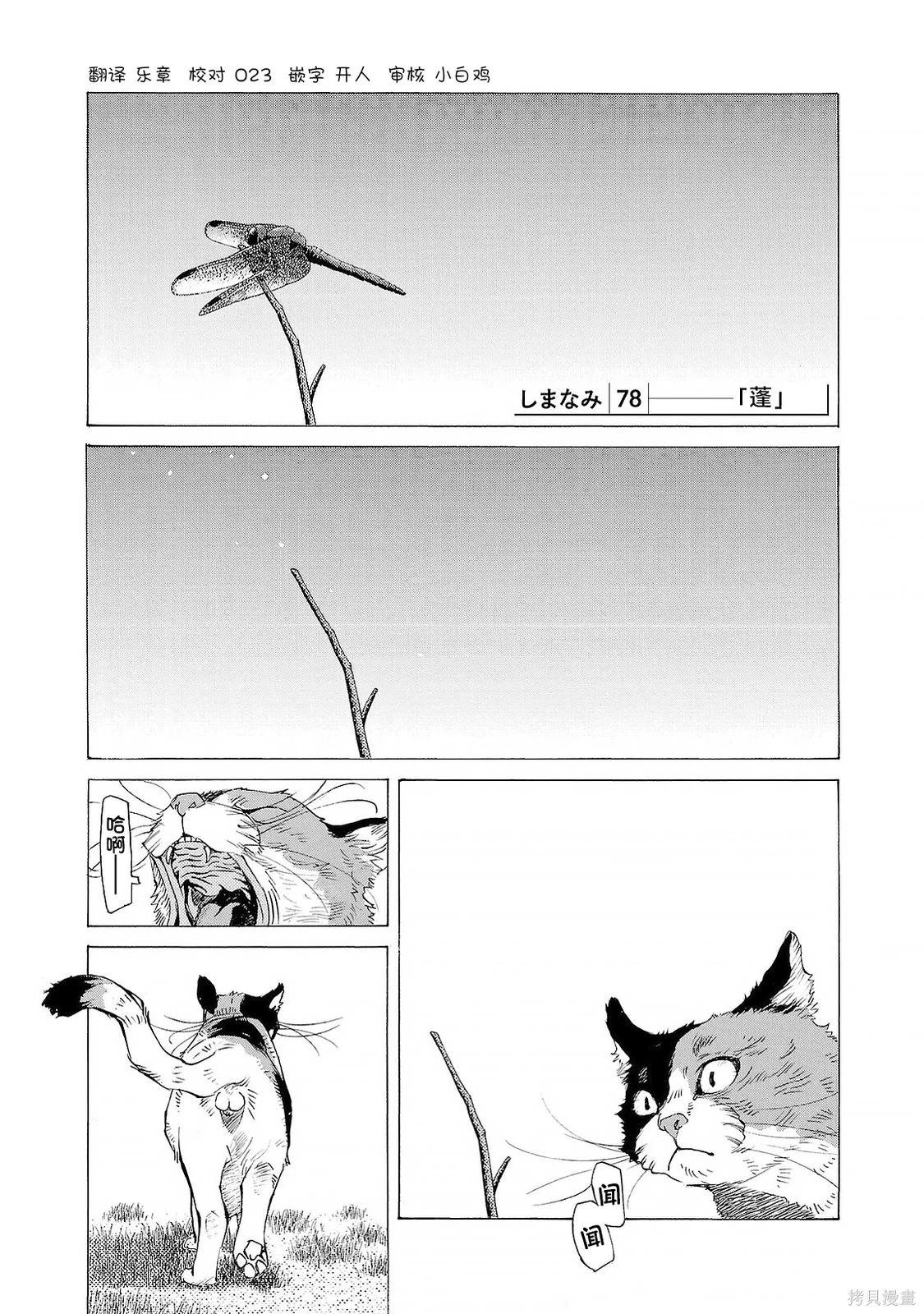 海岛与少女还有猫 第78话