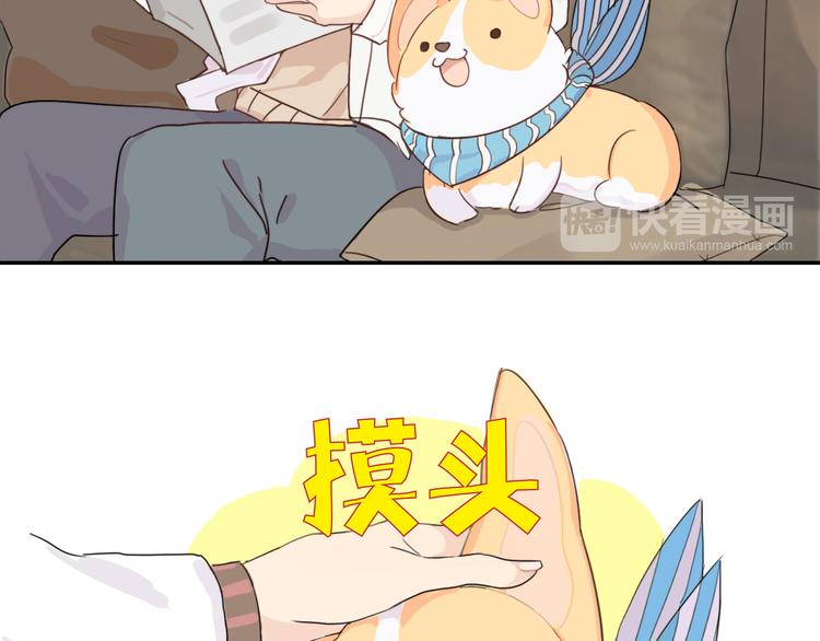 第1话 我的狗子消失了(1/2)-第2话