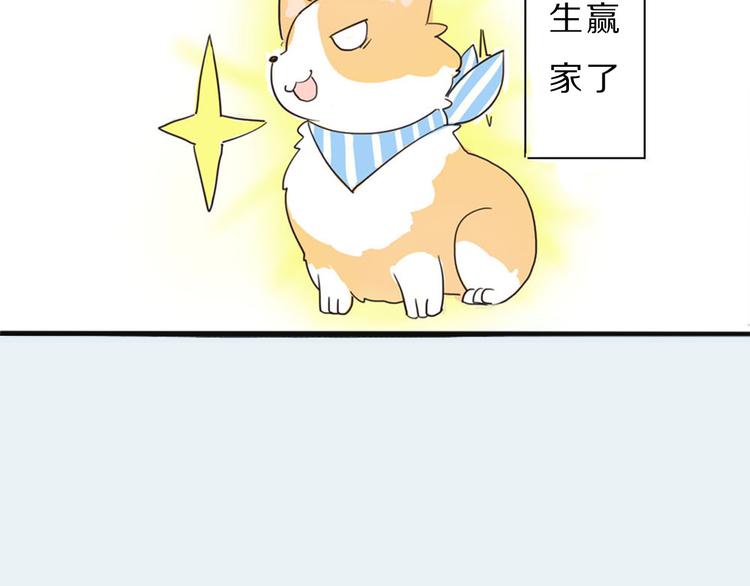 第1话 我的狗子消失了(1/2)-第2话