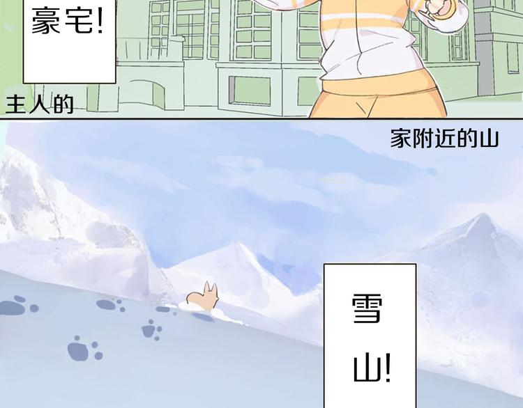 第1话 我的狗子消失了(1/2)-第2话