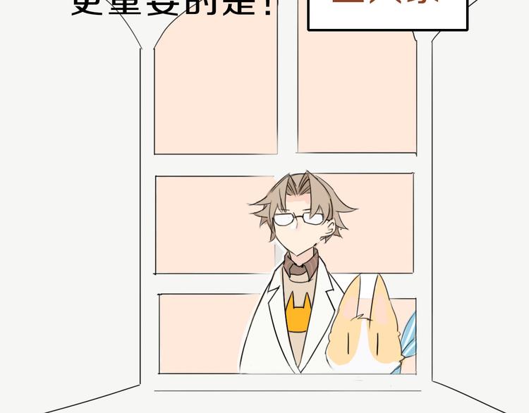 第1话 我的狗子消失了(1/2)-第2话