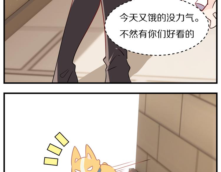 第13话 柯基秘密绝招！(1/2)-第14话