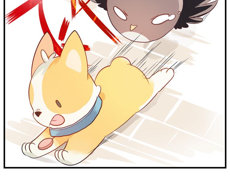 第13话 柯基秘密绝招！(1/2)-第14话