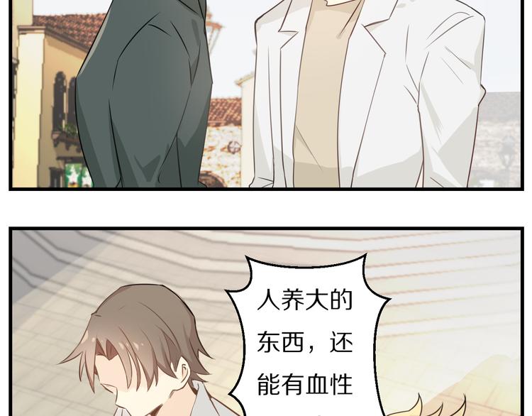 第13话 柯基秘密绝招！(1/2)-第14话