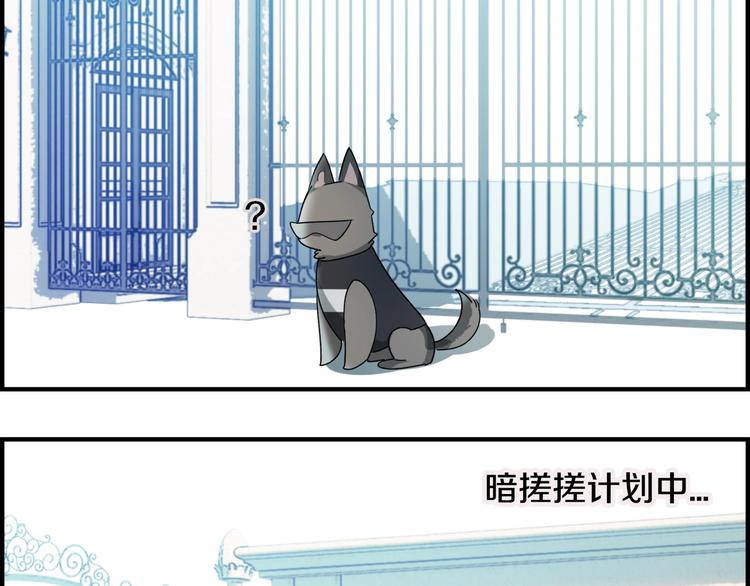 第20话 最佳组合-第24话