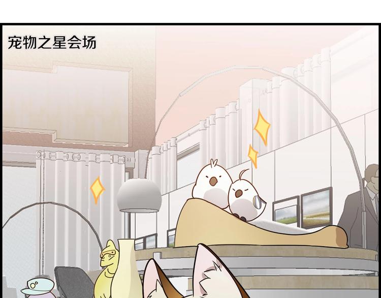 第22话 明星之路(1/2)-第26话