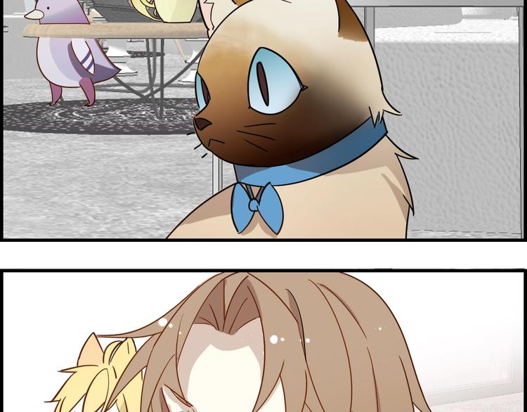 第22话 明星之路(1/2)-第26话