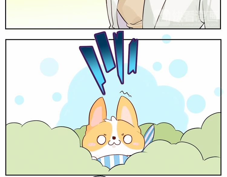 第7话 柯基的搞破坏时间(1/2)-第8话