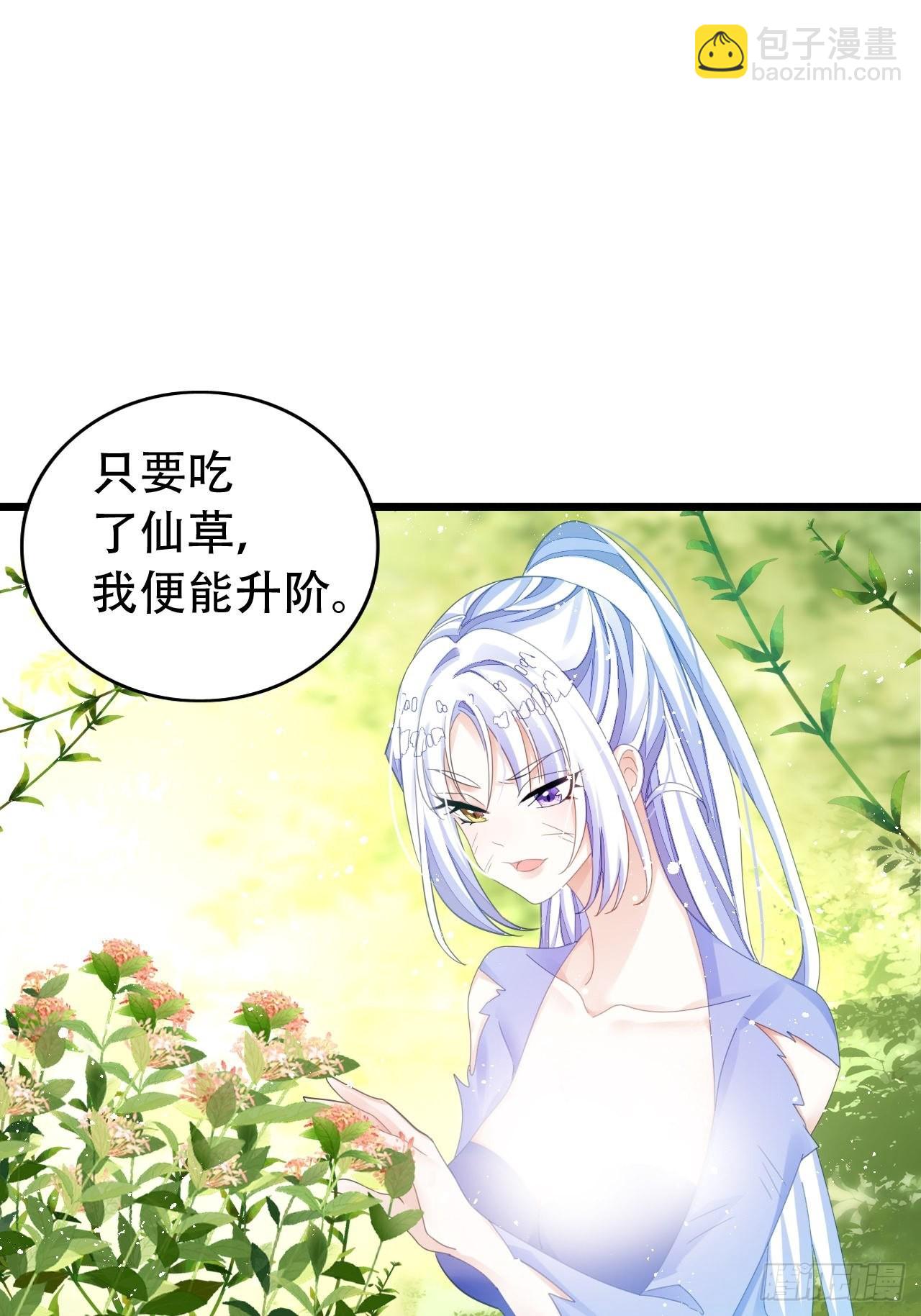 海王奶奶三千寵 - 新boss出場？！略眼熟(1/2) - 7