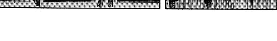 第十章 简单的中秋(1/2)-第6话