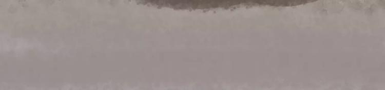 家人的温情-第150话