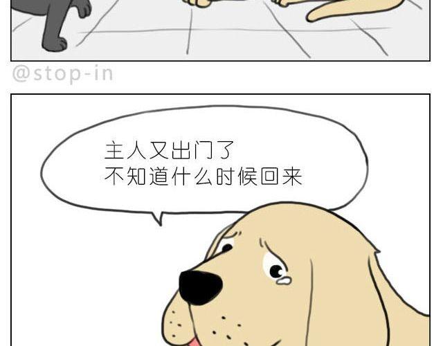 在他回来之前我陪你-第36话