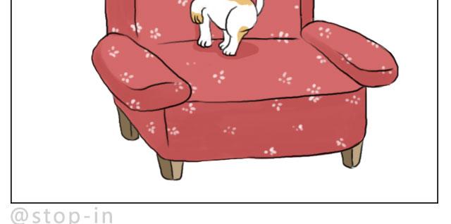 我喜欢你呀-第66话