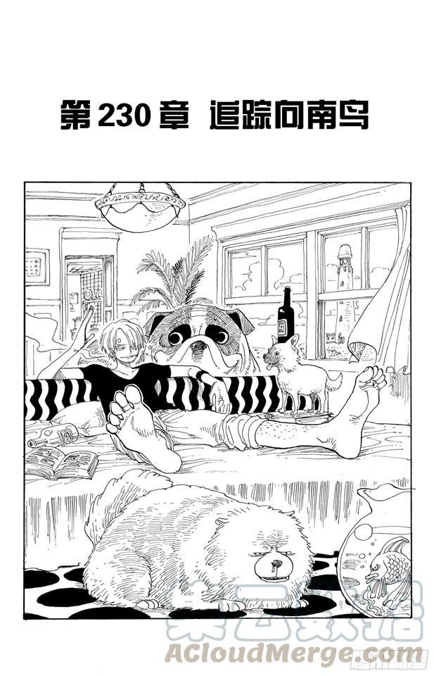 航海王 - 第230话 追踪向南鸟 - 1