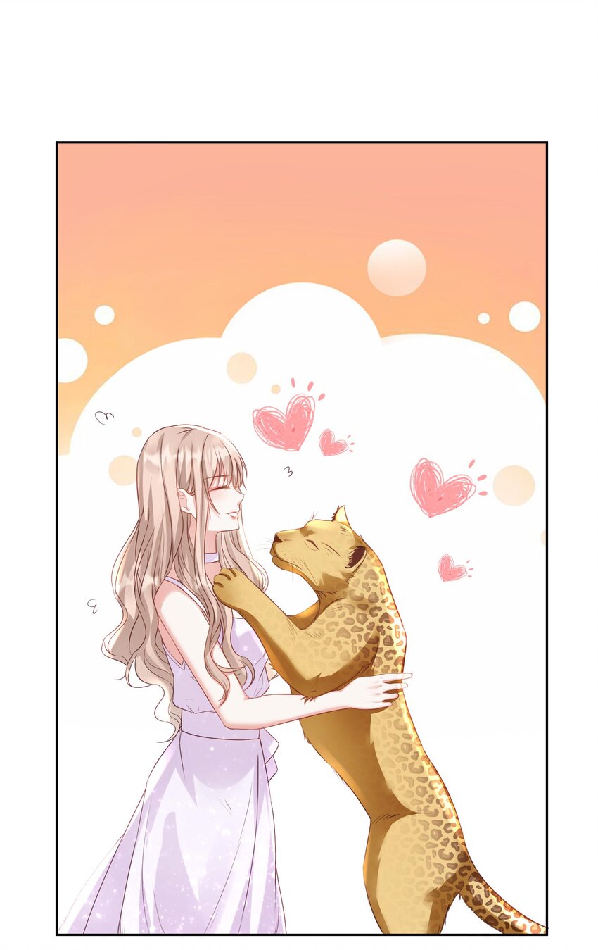 005 给你一份&ldquo;大礼&rdquo;-第6话